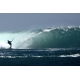 Barre FreeStyle Wave 2021